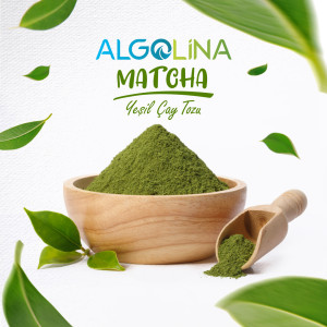 Algolina Matcha Tozu 10 KG Doypack (B Kalite)