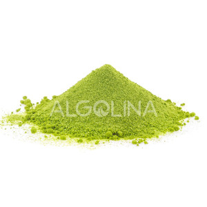 Algolina Matcha Tozu 10 KG Doypack (Yeşil Çay)